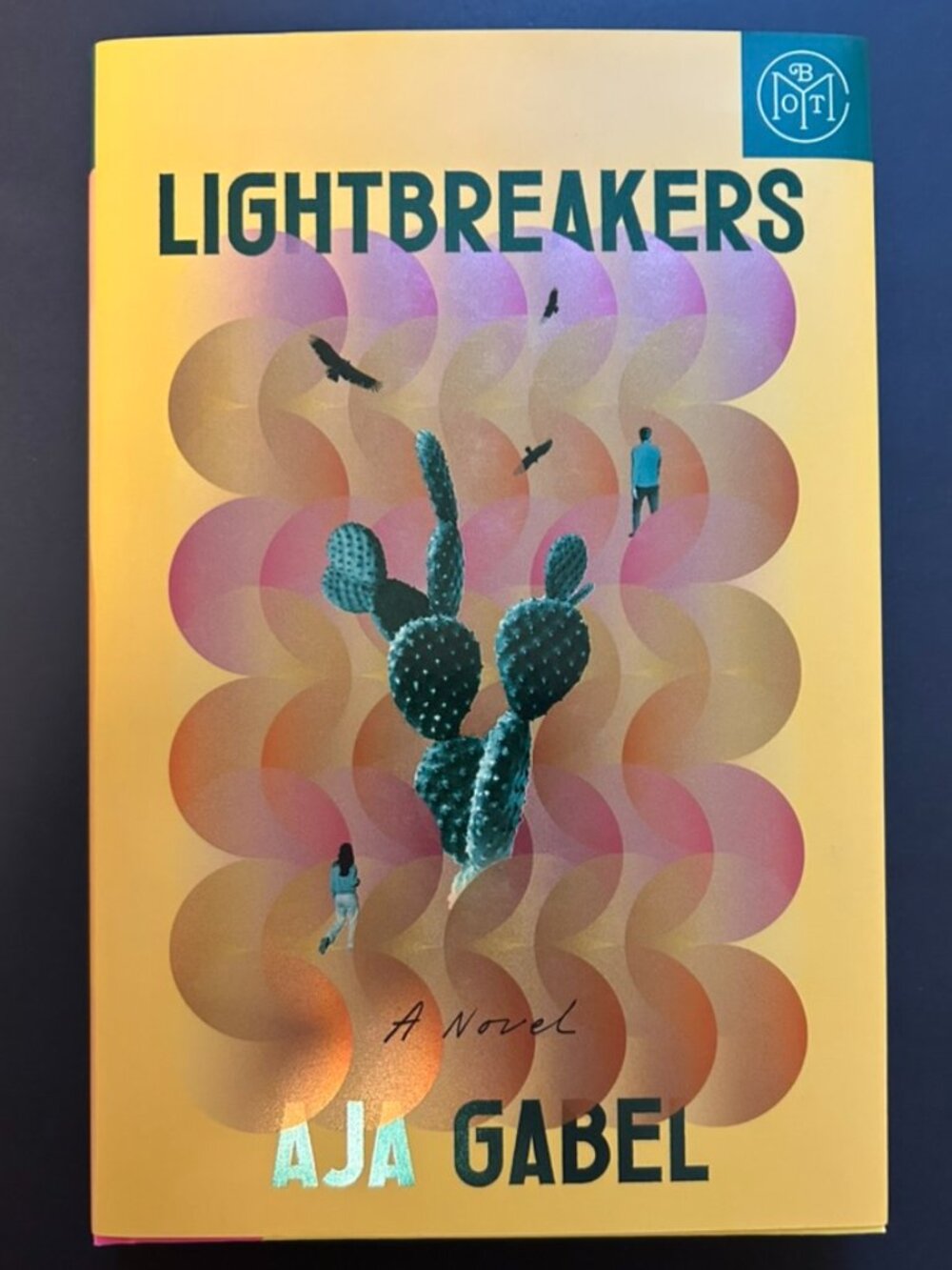 3 for $20 📚 | Lightbreakers by Aja Gabel | Hardcover Book | BOTM
